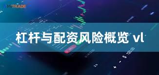 杠杆与配资风险概览 vl