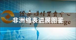 非洲缩表进展图鉴