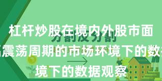杠杆炒股在境内外股市面对宽幅震荡周期的市场环境下的数据观察